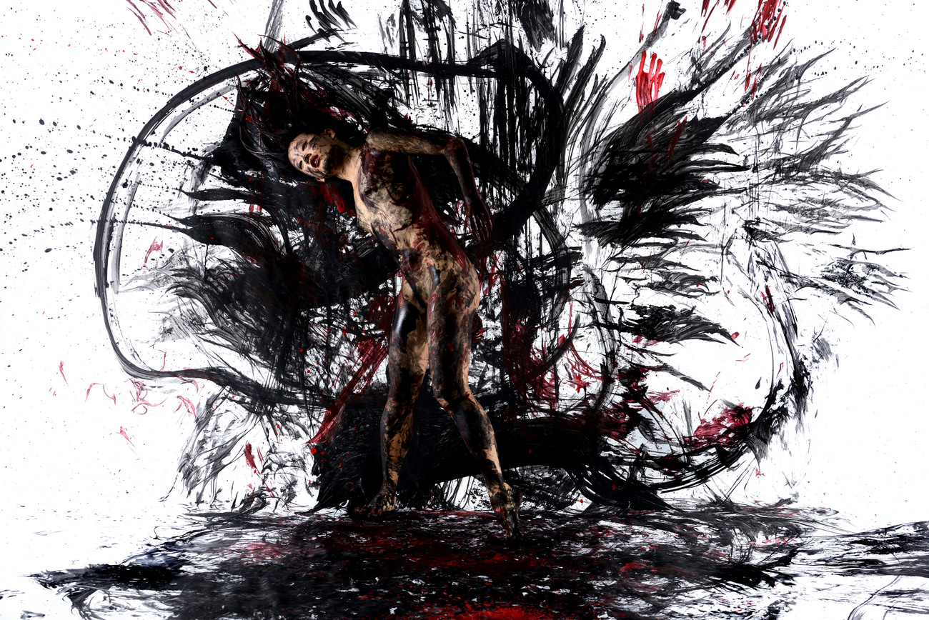 Livre 'Danser la Peinture' – Photographies de danse contemporaine primées par Laurent Paillier, collaboration avec 11 chorégraphes, Grand Prix de la Critique 2016